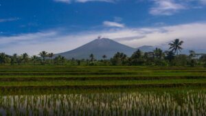 indonesia-busca-evitar-la-trampa-de-ingresos-medios-mediante-reformas-politicas-clave