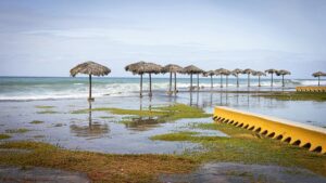 crecen-las-protestas-en-cuba-tras-tres-dias-de-apagon-masivo-y-crisis-energetica