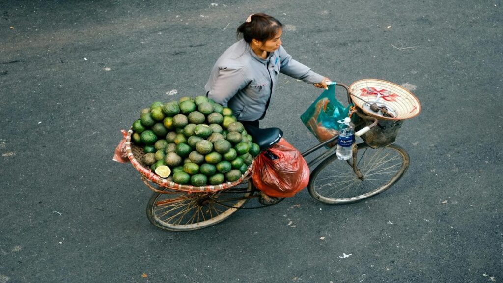 el-transporte-sostenible-enfrenta-grandes-desafios-y-oportunidades-para-el-futuro