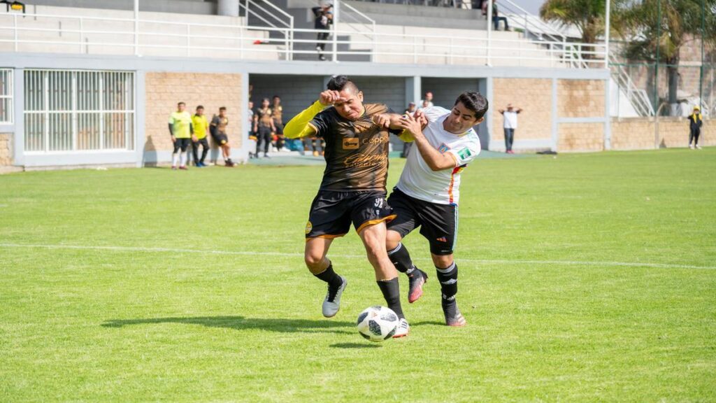 fluminense-enfrenta-a-desafios-clave-en-su-lucha-por-evitar-el-descenso-en-el-brasileirao