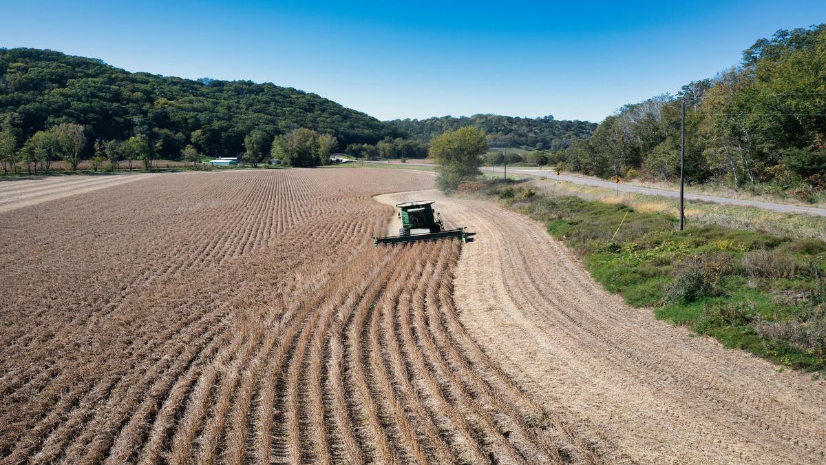 La Agricultura Española En Crisis: Un Llamado a la Acción