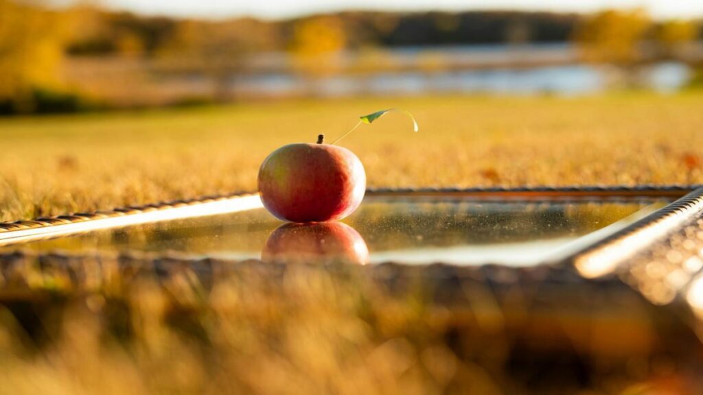 tim-cook-visita-china-para-fortalecer-el-apoyo-a-la-inteligencia-de-apple-segun-analistas