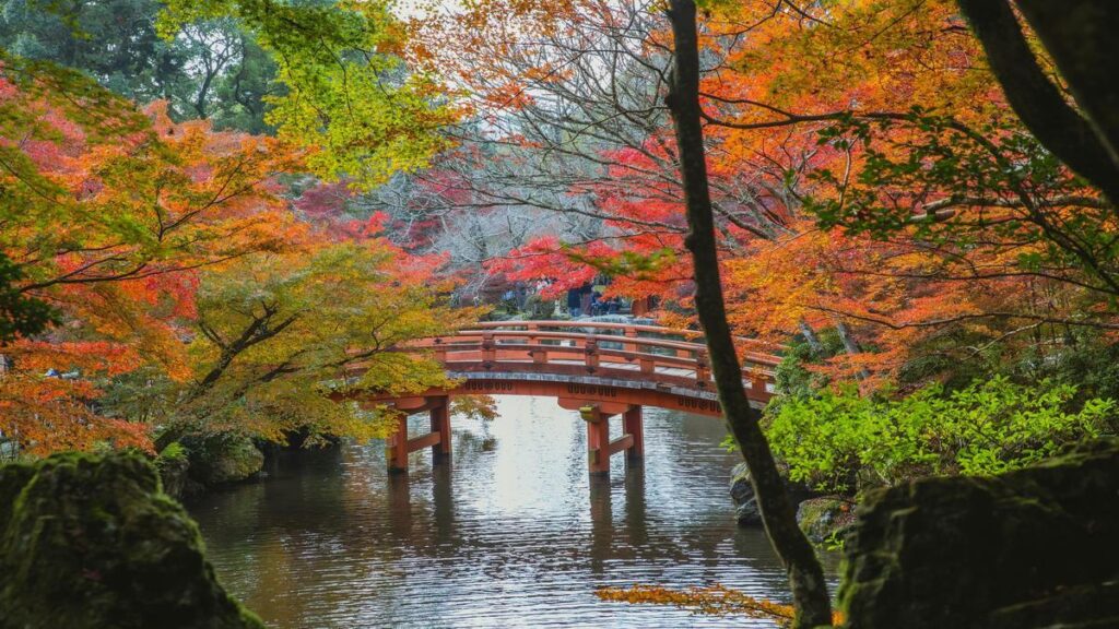 frio-en-japon-pero-el-turismo-sigue-creciendo-en-otono