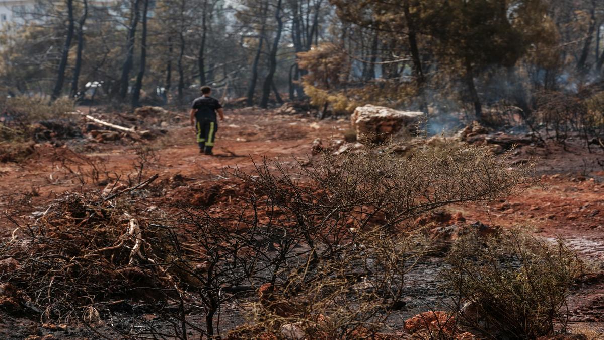 La Devastación de la Dana en el Campo Español