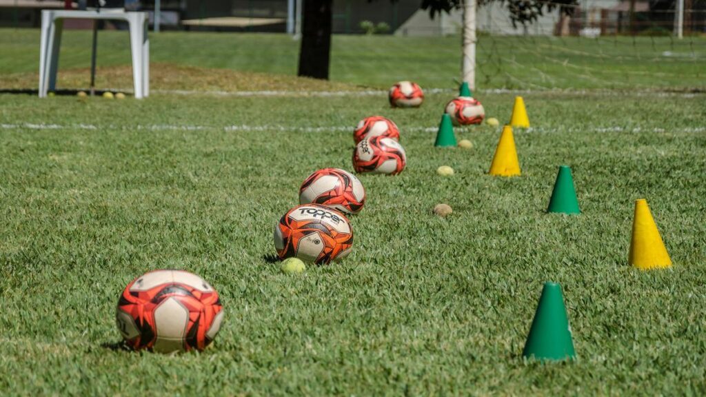 repercusion-del-joga-nas--tras-el-derbi-del-brasileirao-y-el-inicio-de-la-final-de-la-copa-do-bras